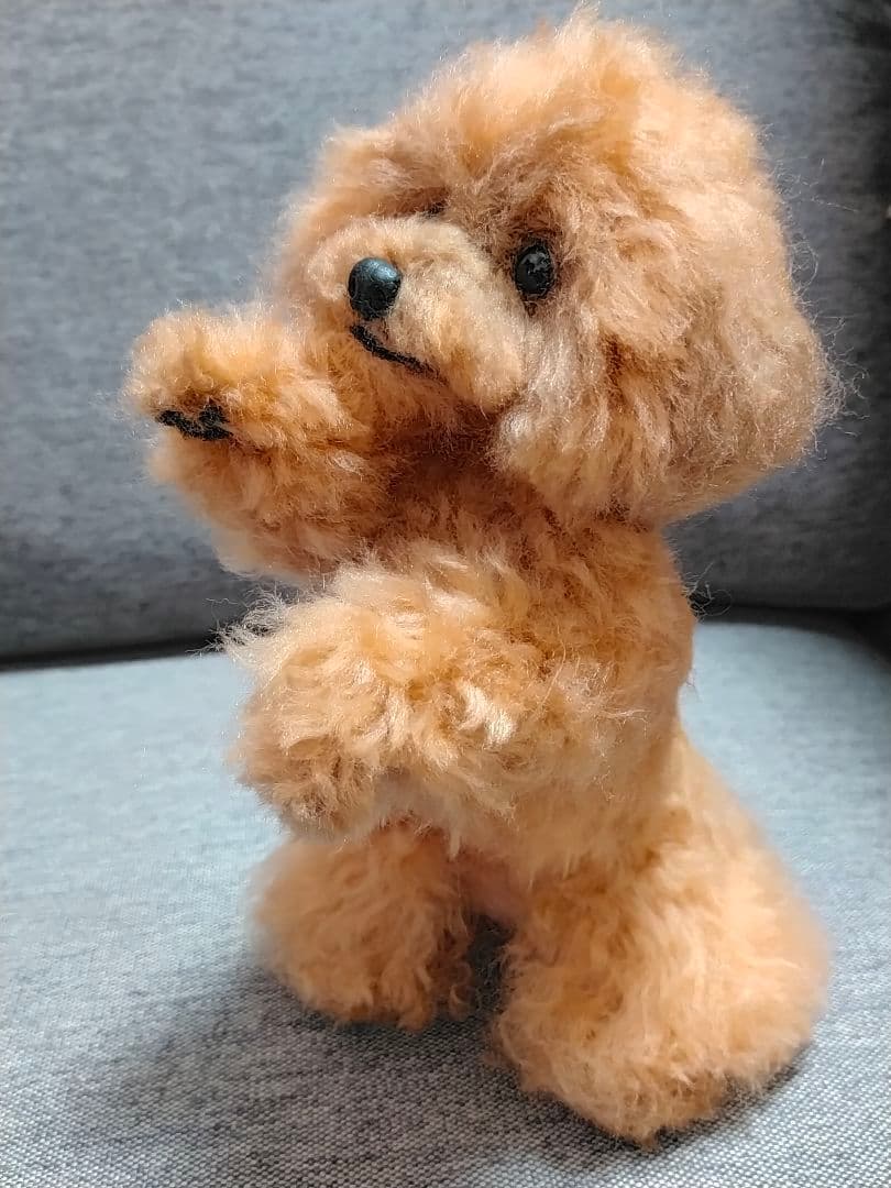 送料込み。トイプードルレッドちゃん。ちょうだいポーズ♡直立
