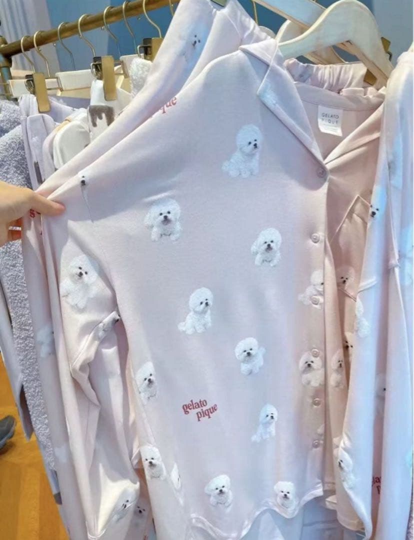 新品タグ付き　ジェラートピケ　ビションフリーゼ　ルームウェア上下セット