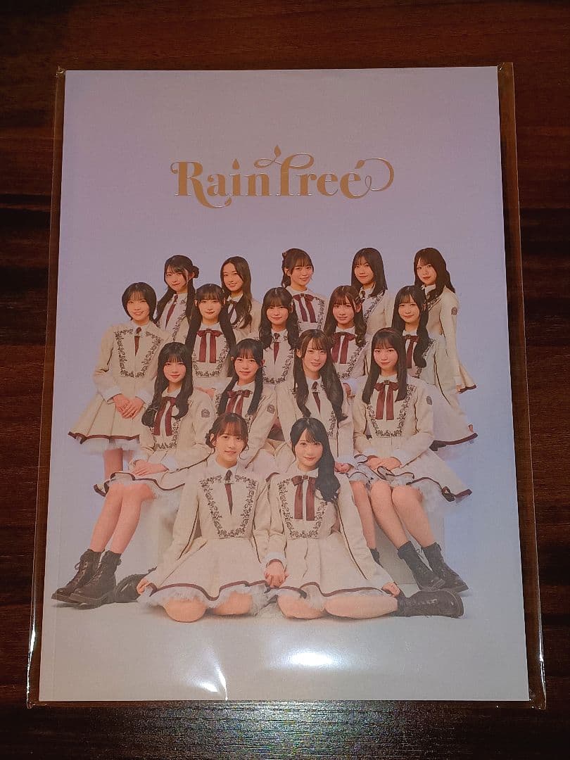 RainTree レインツリー 公式フォトブック 複数購入割引あり - メルカリ