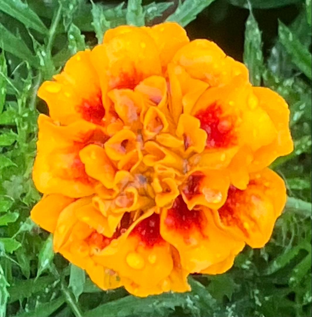 ポッケ様 リクエスト 2点 まとめ商品 - メルカリ