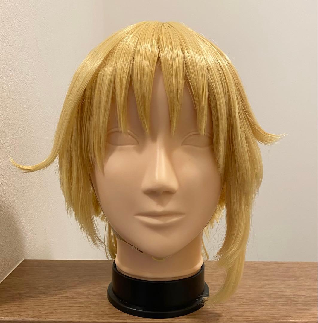 忍たま乱太郎 忍たま 斉藤タカ丸 コスプレ ウィッグ - メルカリ