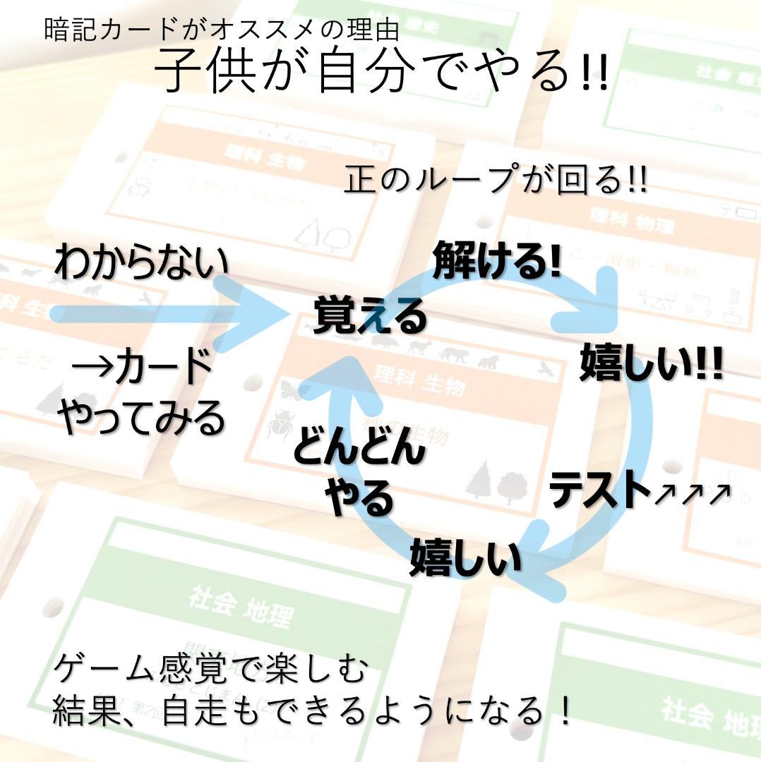 中学受験【6年上 理科 全セット1-17回】暗記カード 予習シリーズ 組