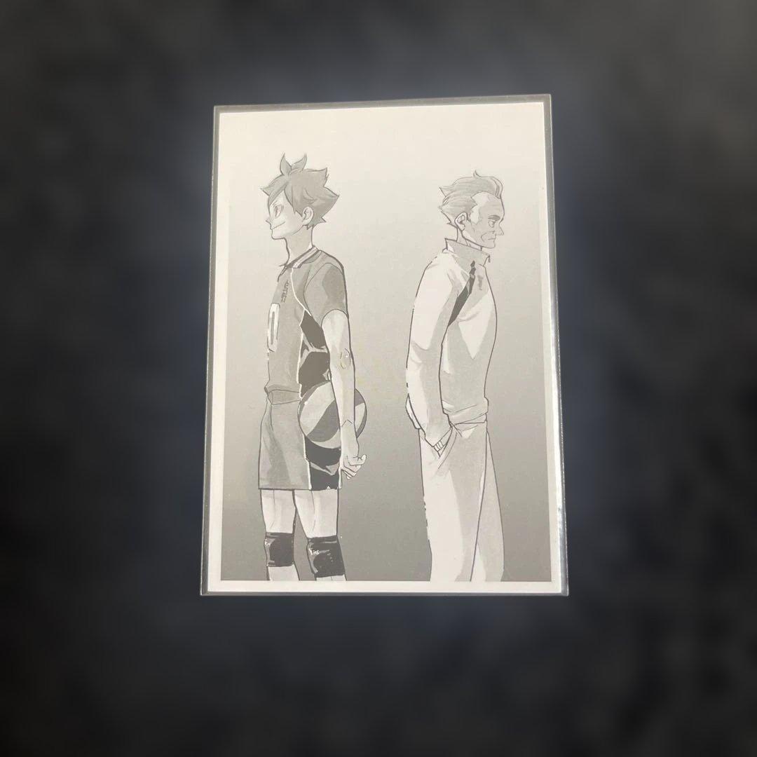 ハイキュー!! 10thクロニクル フォトカードNo.117 日向翔陽 鷲匠鍛治