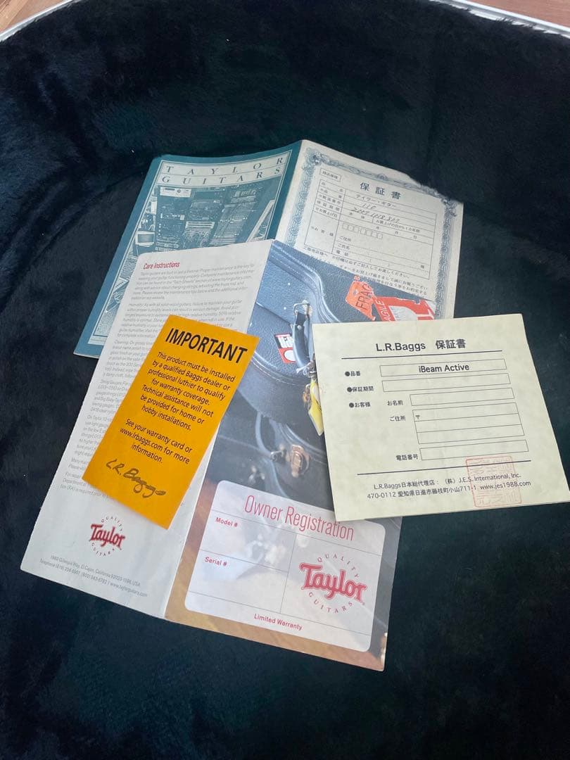 早いもの勝ちです テイラー110 高感度マイク内蔵 エレアコ 新ハード