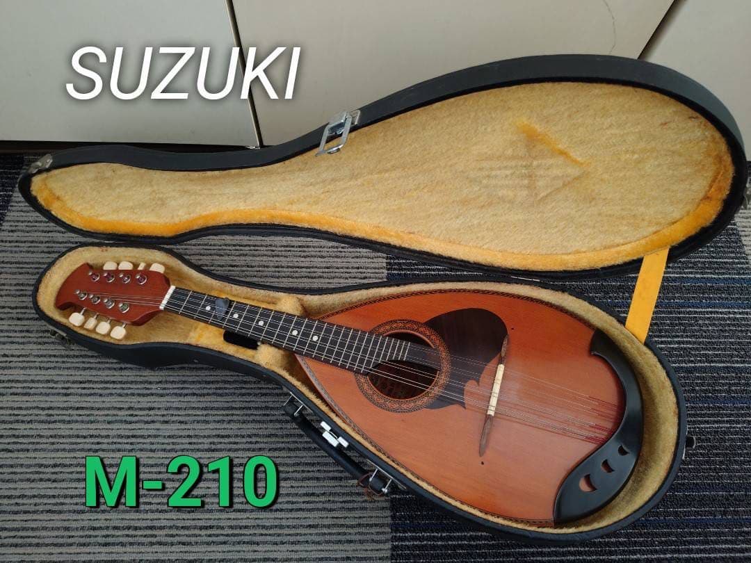 SUZUKI マンドリン M-210(1975年製)ハードケース、ピック付 - メルカリ