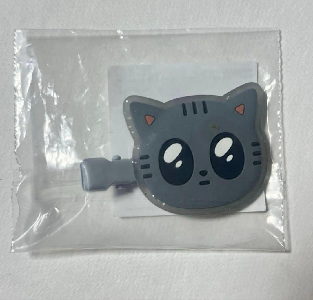 TXT テヒョン ダゴニャン act カプセルトイ ヘアクリップ ① - メルカリ