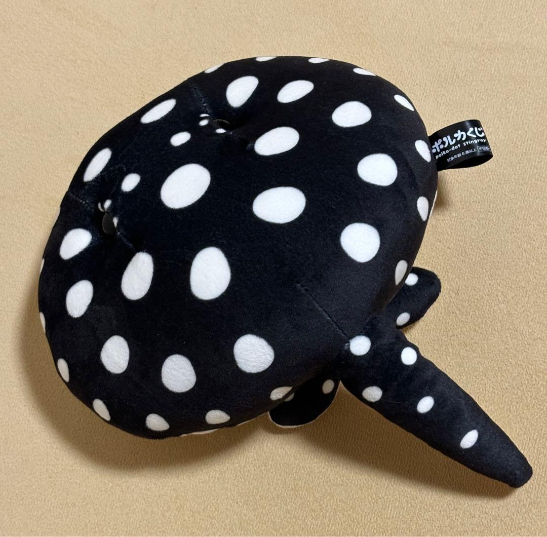 神戸水族館アトア atoa ポルカドットスティングレイ 淡水エイ