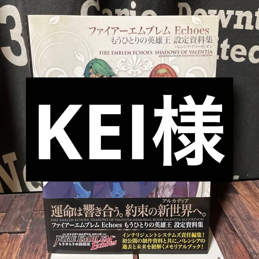 ファイアーエムブレム　Echoes　もうひとりの英雄王　設定資料集 ファイアーエムブレム Echoes もうひとりの英雄王 設定資料集