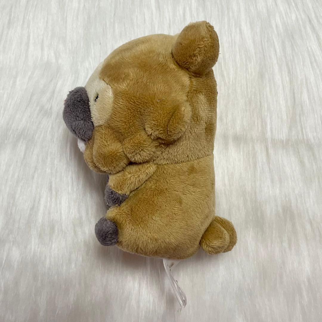 ポケモン ビッパ ドール ぬいぐるみ 2009年 - メルカリ