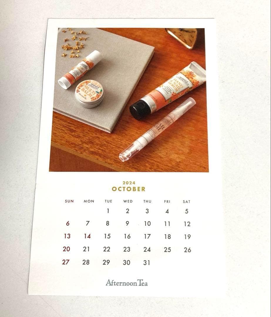 180xN9レ 未使用 ボナベンチュラ iPhone 15 Proミラーケース