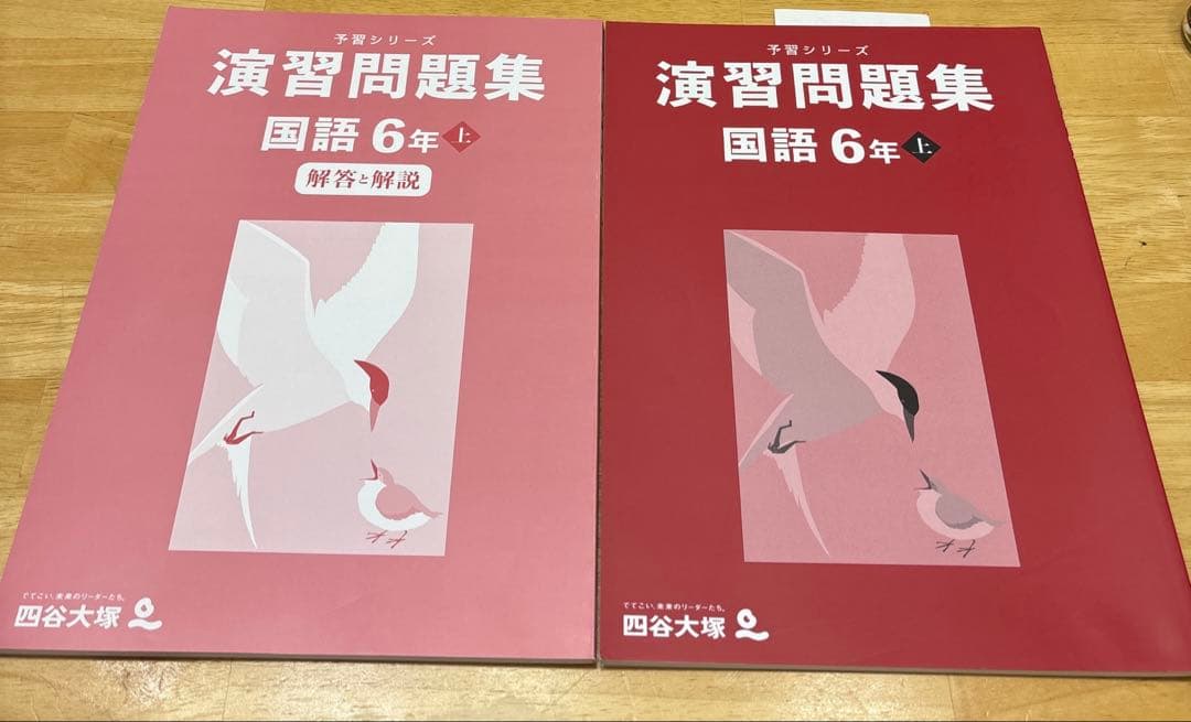 演習問題集 6年上 国語 2024年度 四谷大塚 予習シリーズ - メルカリ