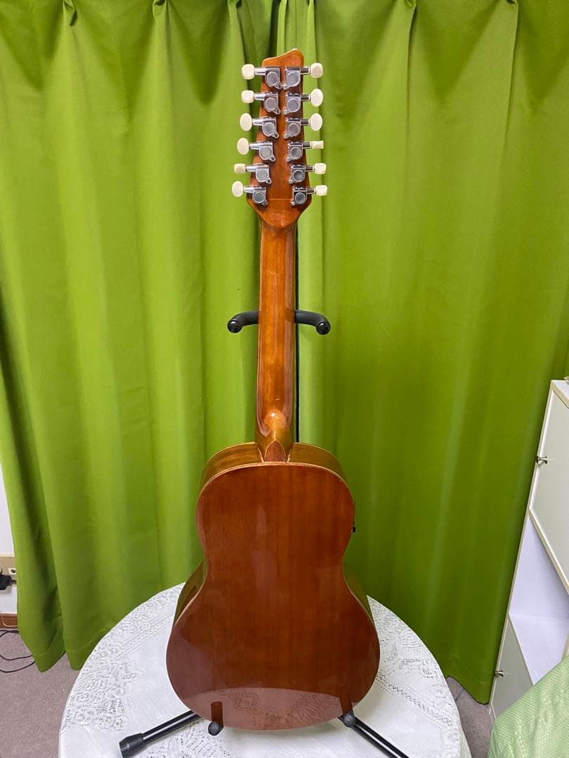 Chang Shin様専用 12弦エレアコOTO-OTO OT3E 音抜け良好 - メルカリ