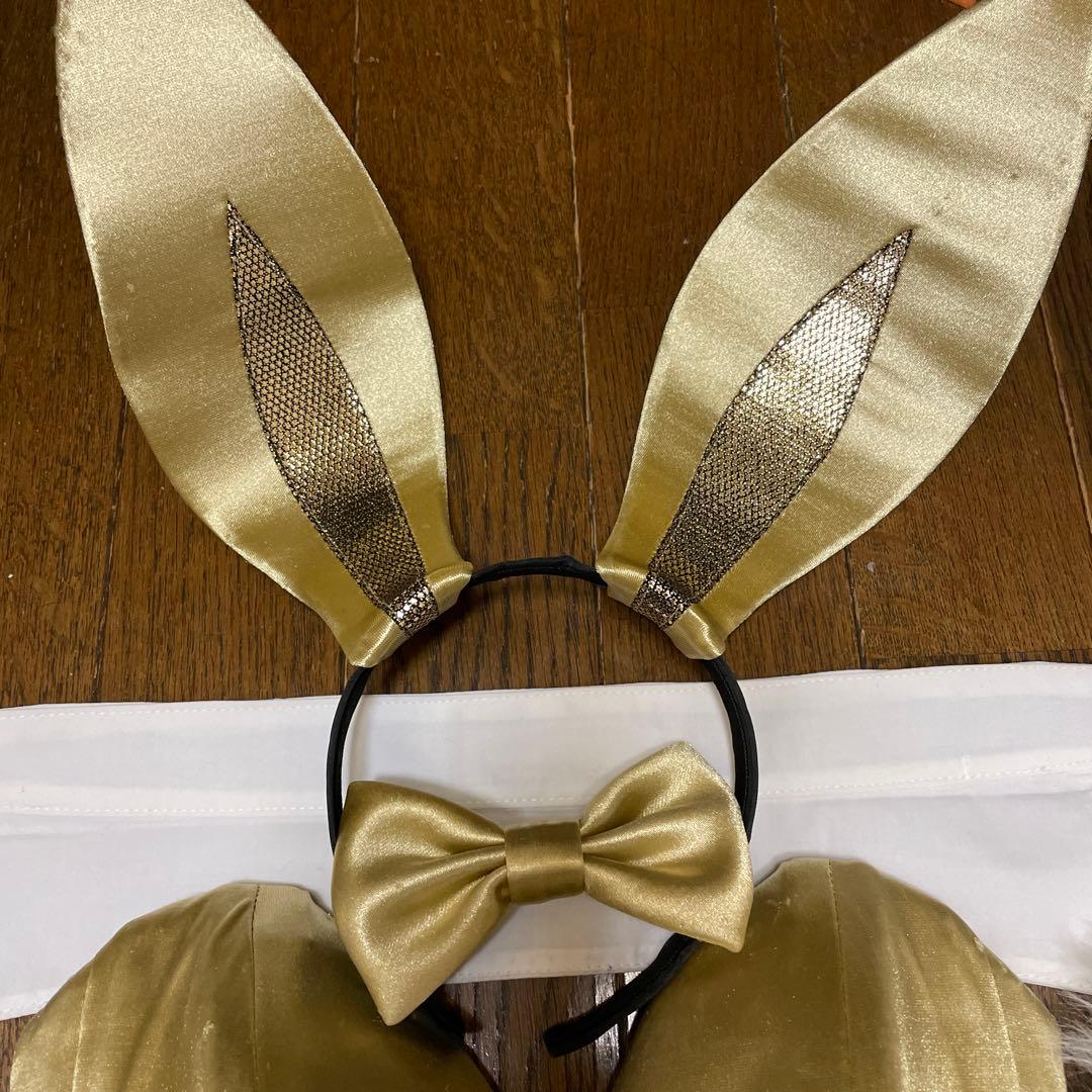 アトリエダーム バニースーツ バニーガール 6号 Tバックタイプ カフス