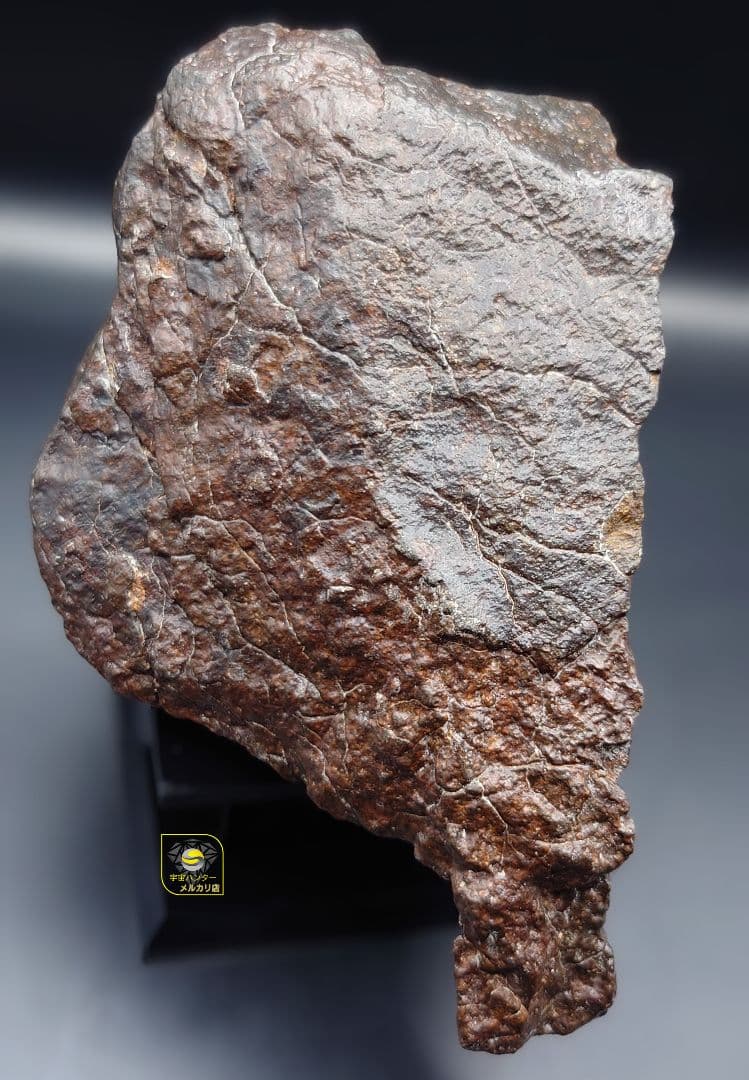 隕石　コンドライト L3 NWA XXX 991.5g ⭐⭐