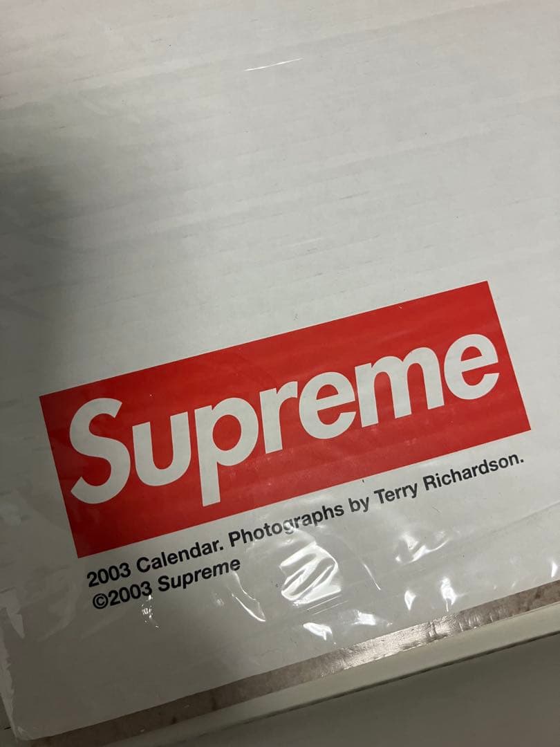 SUPREME 2003年 terry richardson カレンダー - メルカリ