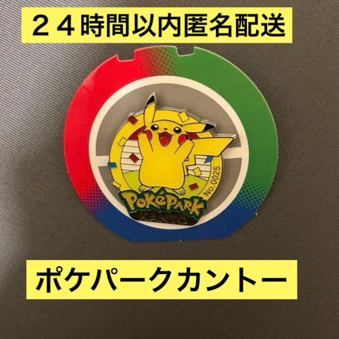 ポケパーク ピカチュウ ピンバッジ - メルカリ