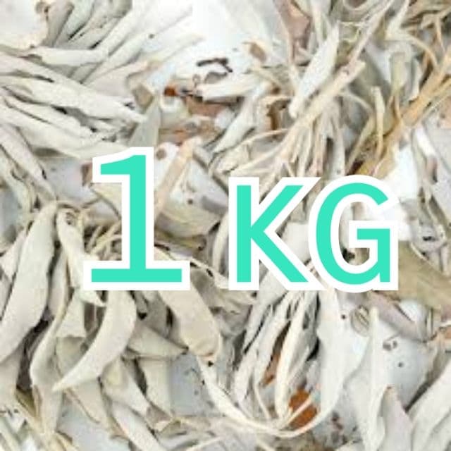 激安価格タイムセール☆無農薬ホワイトセージ枝付きクラスター１ｋｇ Amazon | 無農薬 ホワイトセージ 枝付き (クラスター) 約100g