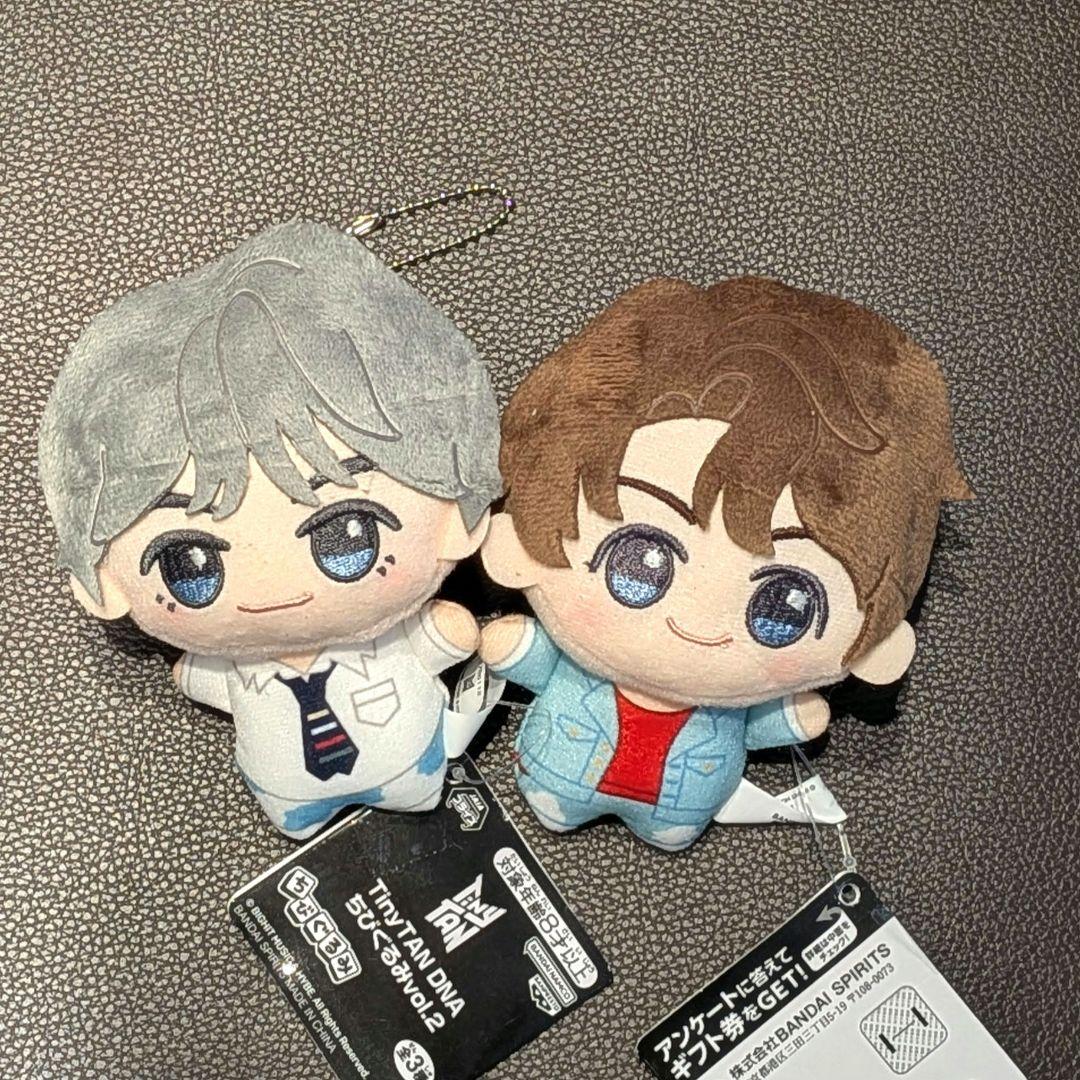 BTS TinyTAN DNA ちびぐるみ V テテ グク 2種セット - メルカリ