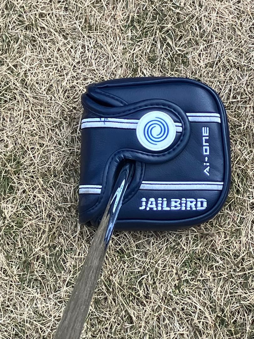 オデッセイ A i -ONE スクエア2スクエア ジェイルバード 34in