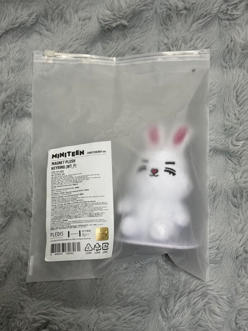 SEVENTEEN MINITEENマグネットキーリング チェチェリ エスクプス