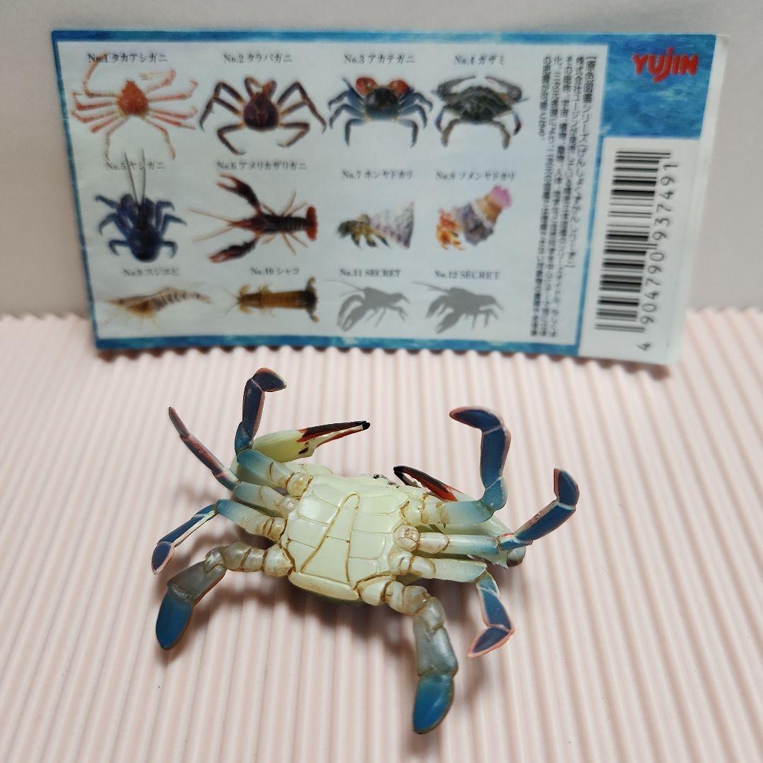 原色甲殻類エビ・カニ図鑑 Ⅰ ガザミ - メルカリ