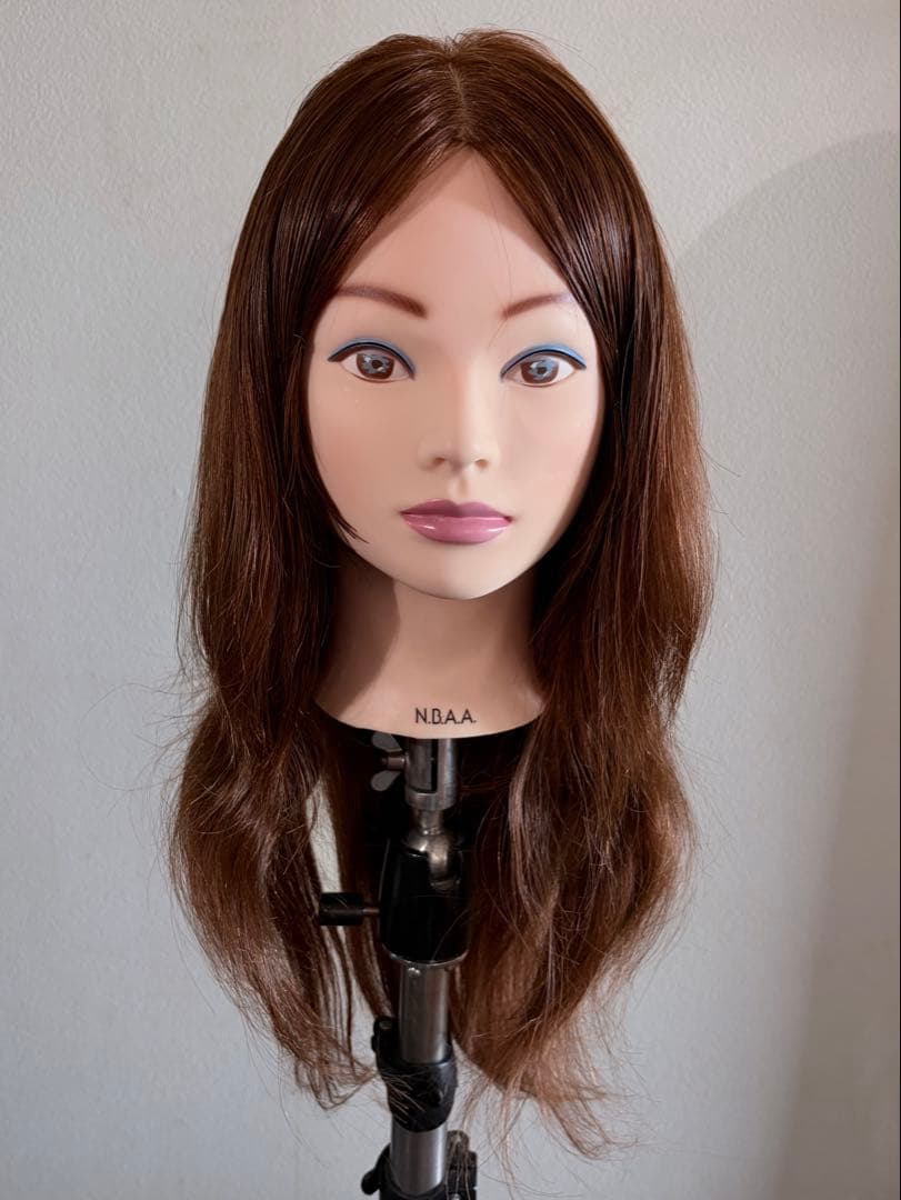 NBAA アップウィッグ ブラウン 美容師 - メルカリ