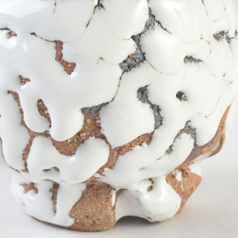 バラ　萩焼　三輪休雪造　盃　ぐい呑　共箱　V　9573