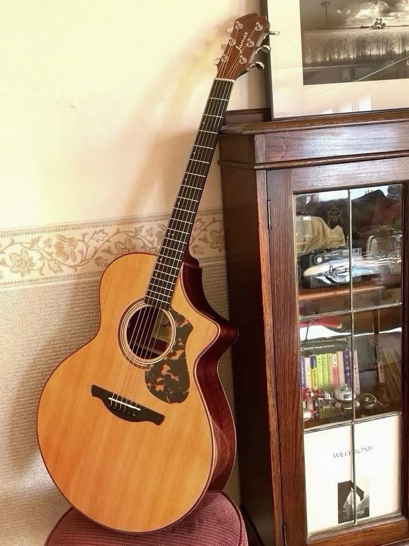 エレアコJames J-900/C オール単板 美品 ギグバック付属 James J-900/C Natural L.R.Baggs PU搭載エレアコ オール単板 オーディ