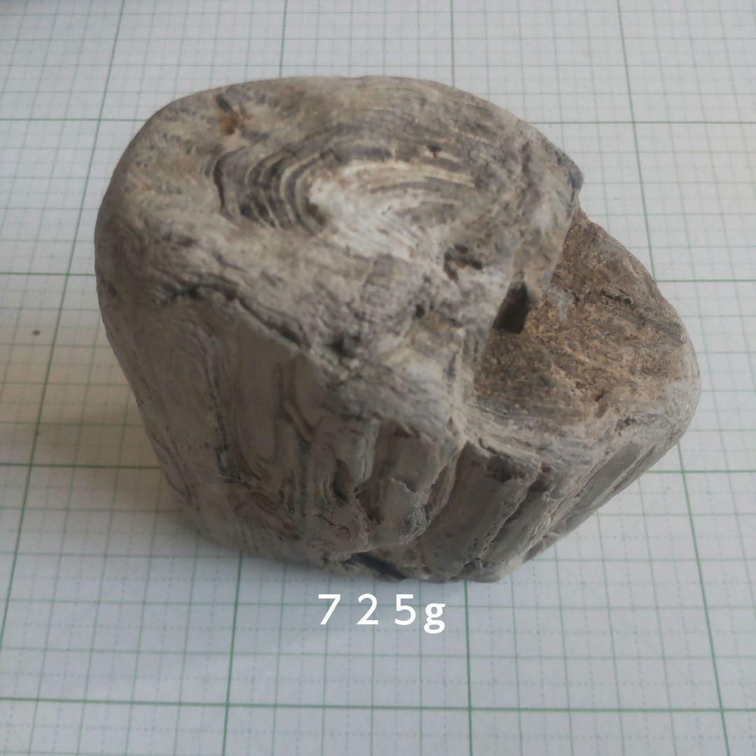 BM、珪化木セット