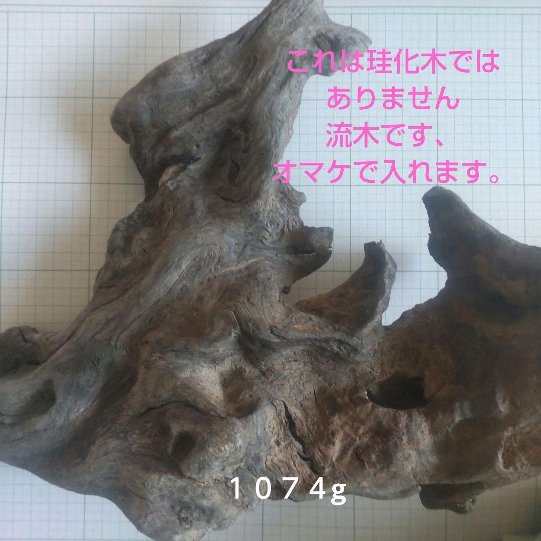 BM、珪化木セット