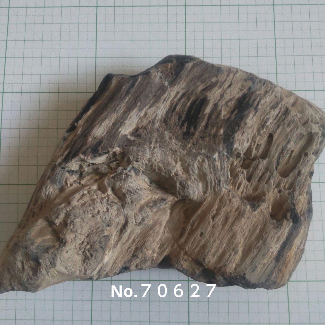 BM、珪化木セット