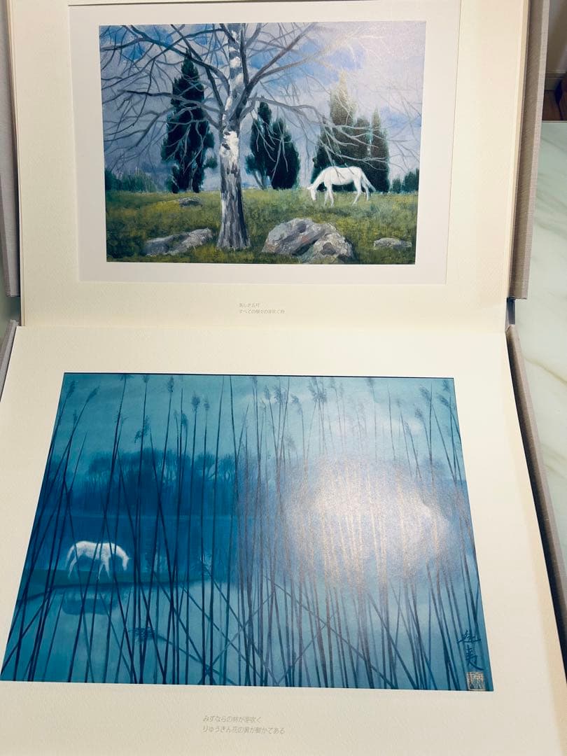 東山魁夷 白馬幻想 限定版 日本経済新聞社