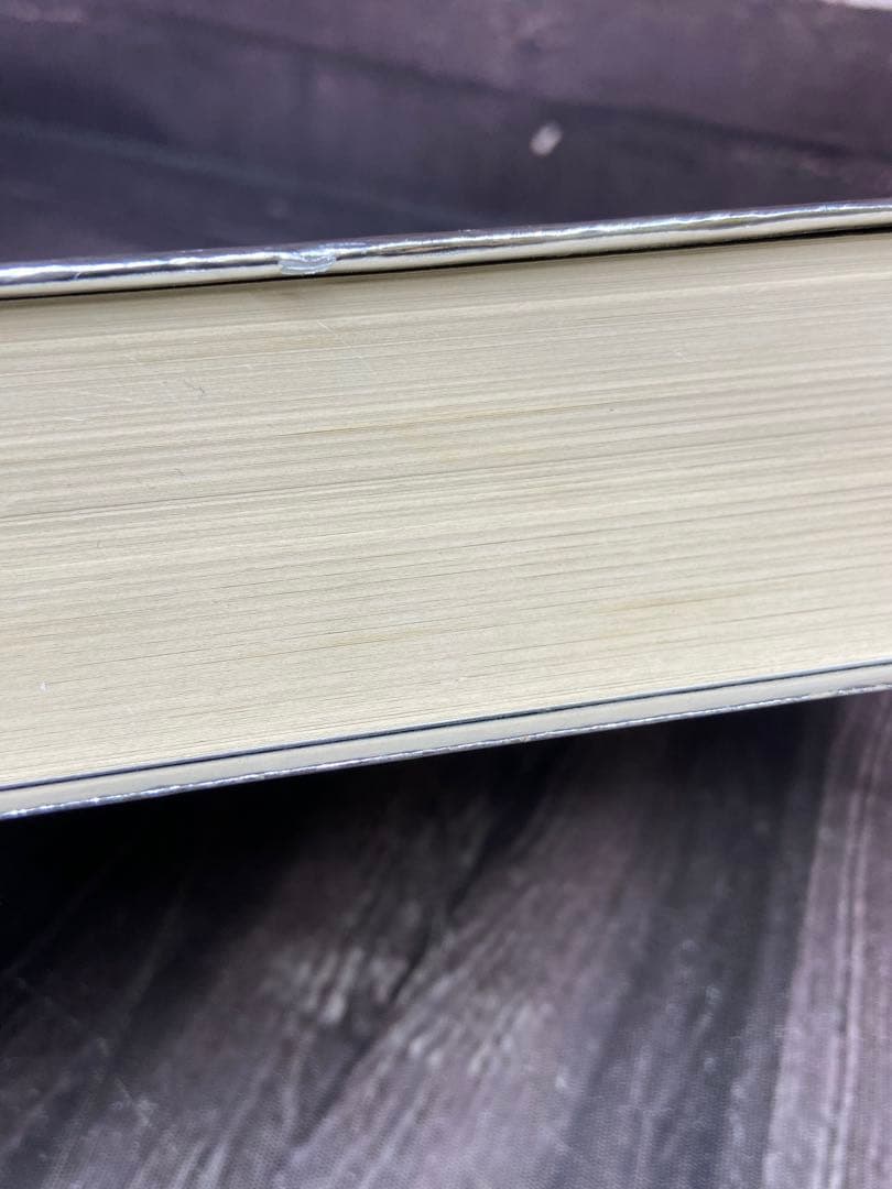 ポケモン・ストーリー　畠山けんじ　久保雅一