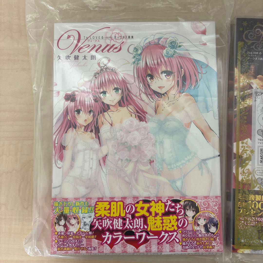 To LOVEる　とらぶる　ダークネス　画集　ヴィーナス　ハーレムゴールド