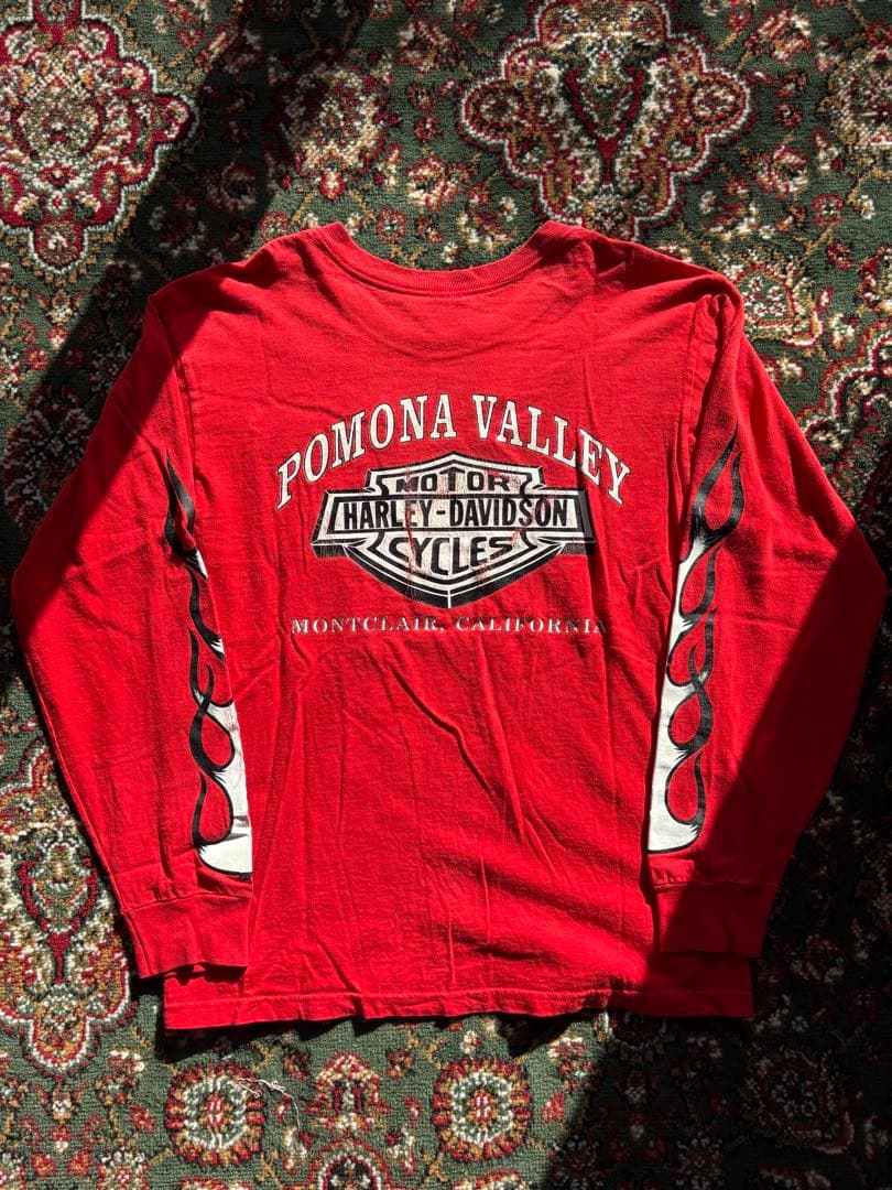 90s Harley-Davidson ロンT フレイム USA製 地元限定 赤 - メルカリ