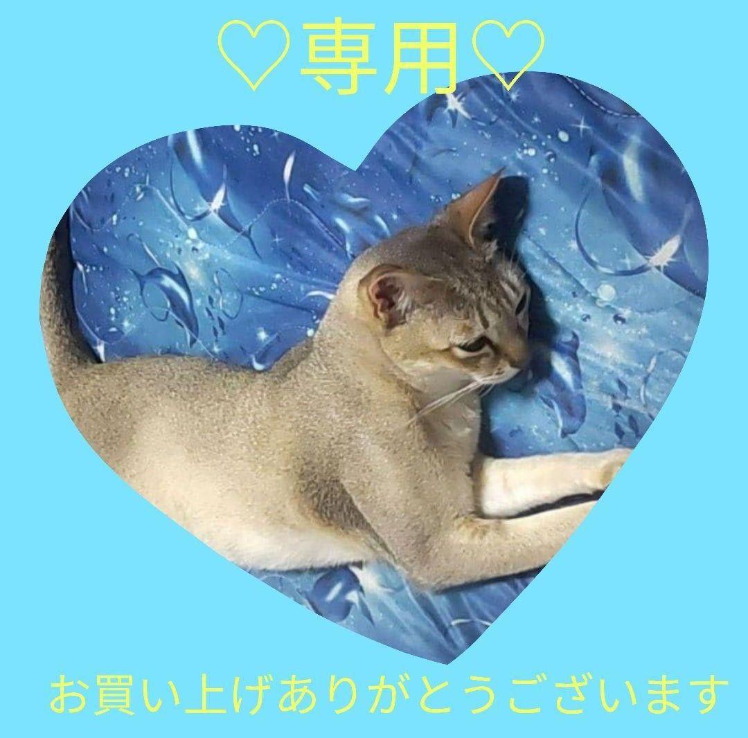 ★専用★ TS808 Four-Five/「Y.O.S.ギター工房」「KarDiaN」「Virtues」3社