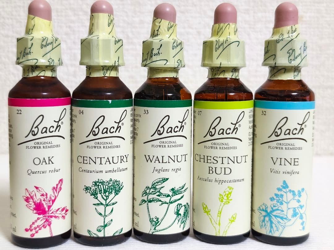 Minoさま専用 マグライザー3 - MINOURA JAPAN