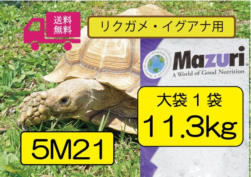 マズリ】トータスダイエット5M21 リクガメ用ペレット mazuri 大袋