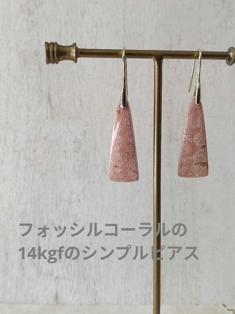 フォッシルコーラル(化石珊瑚)のシンプルピアス 14kgf ビアズリーお
