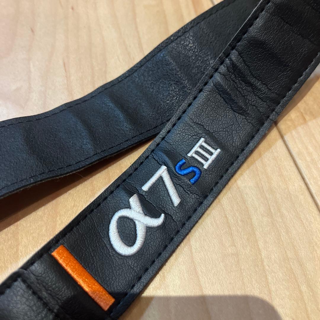 定価2.2万 防湿庫保管_SONY α7SⅢ 本体 バッテリー2本 ケージ