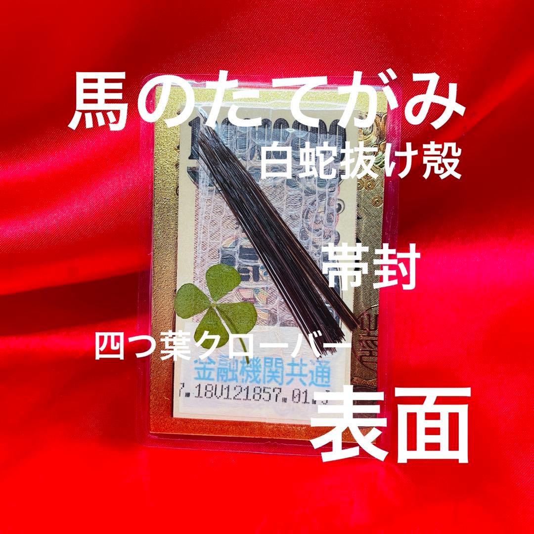 開運 お守り 白蛇 蛇の抜け殻 金運 アップ 最強 競馬 MO-1652 - メルカリ