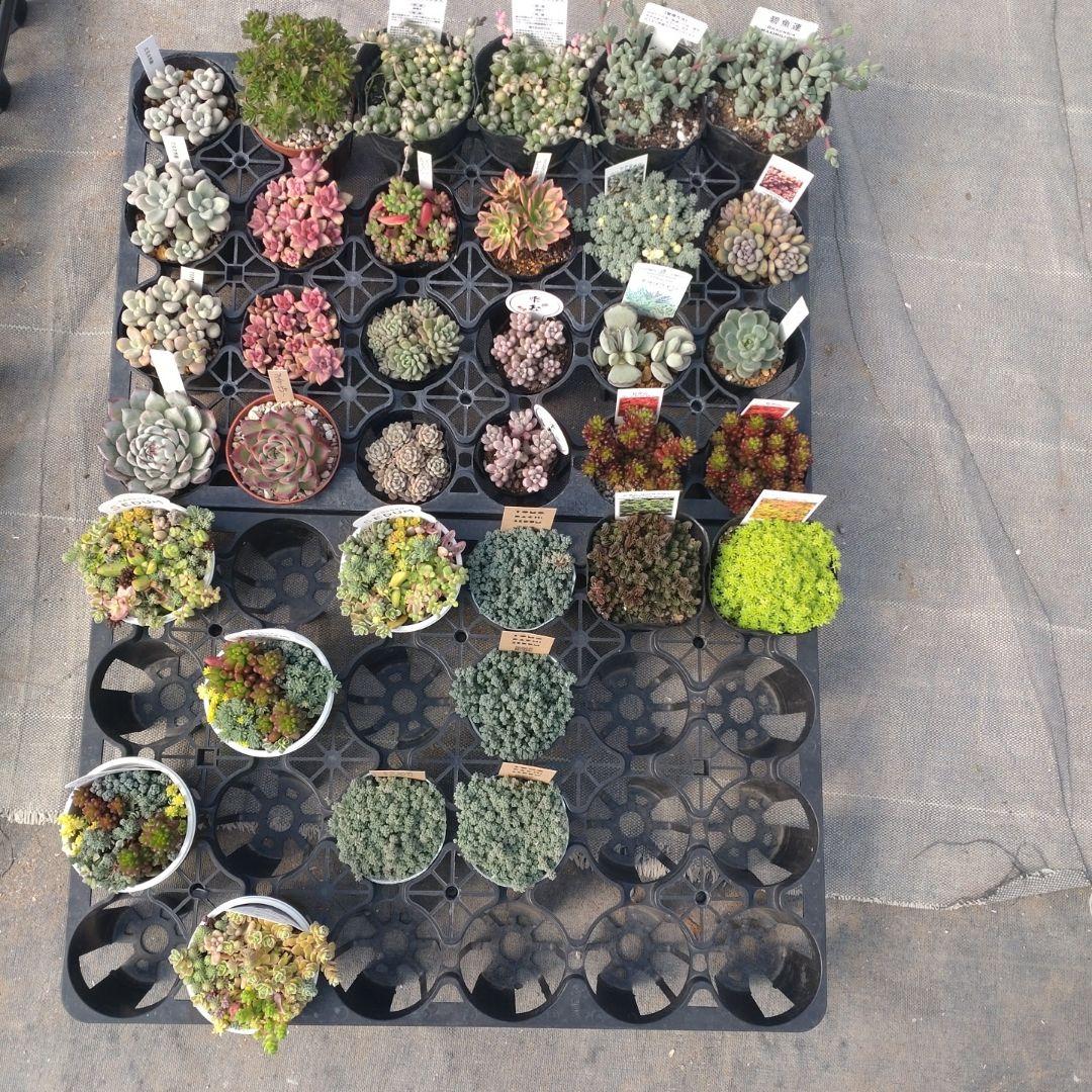 さちさん専用 ケーブルストリッパーアタッチメント60を新発売 | 新製品・サービス