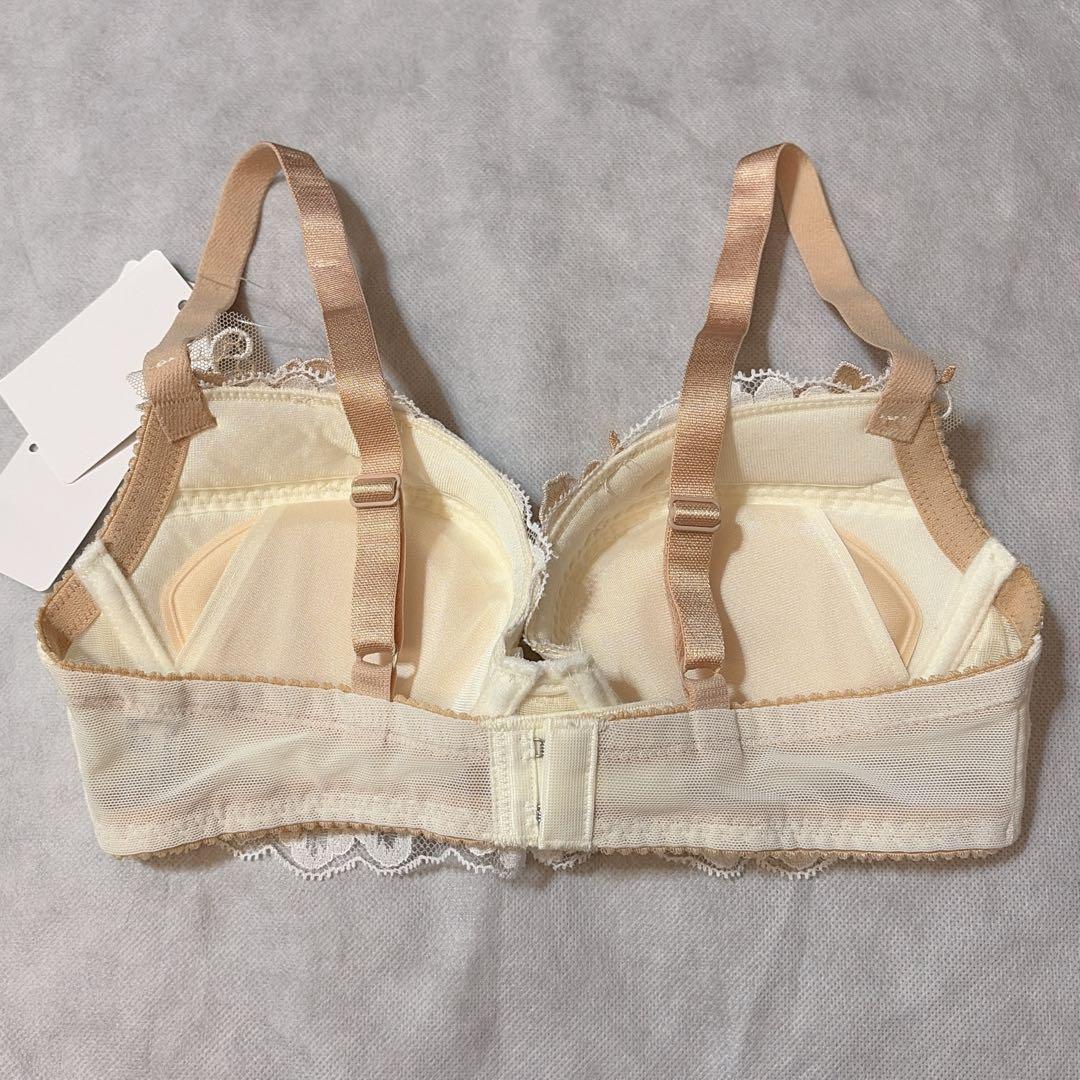 ワコール ルジェ ブラジャー＆Tバック D65 新品 匿名配送 ソング