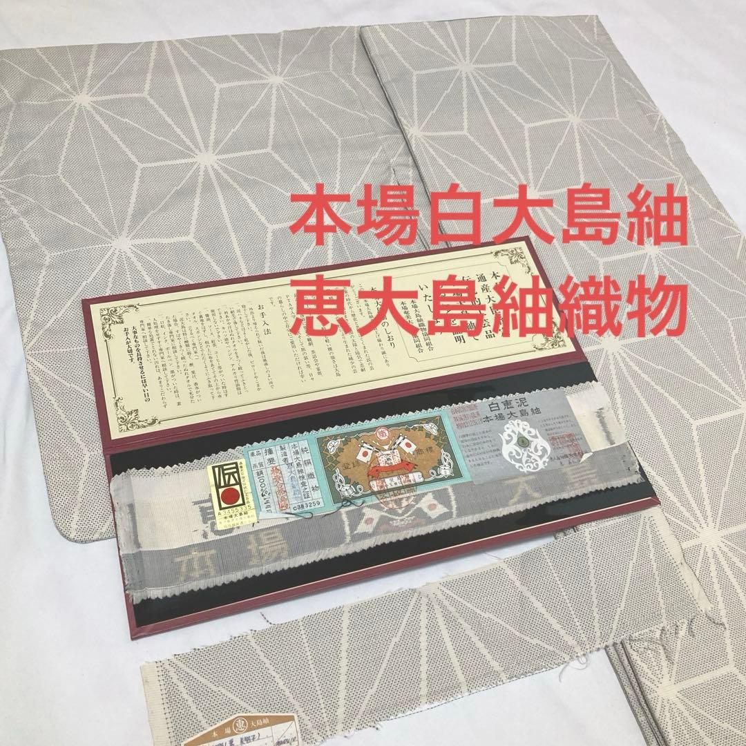 本場白大島紬【恵大島紬織物】白恵泥 カタス式 麻の葉文様 正絹 袷着物