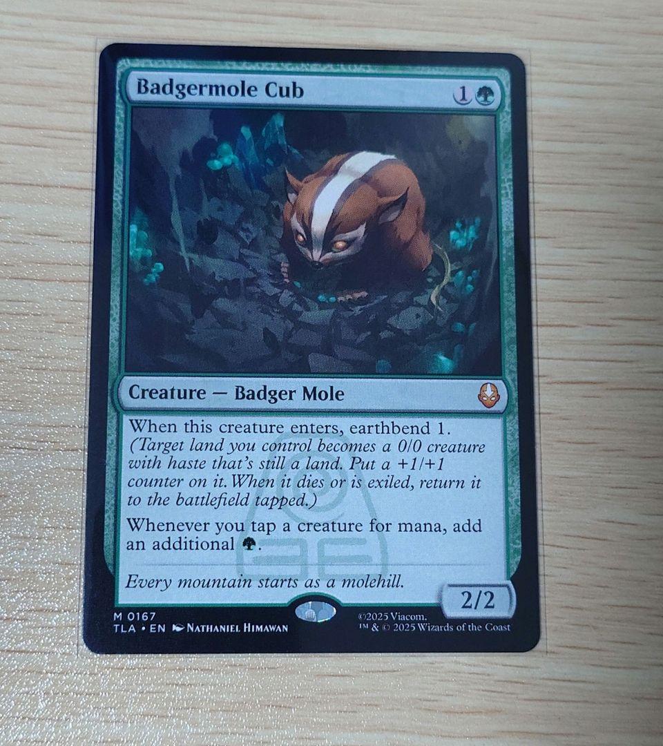 アナグマモグラの仔　Badgermole Cub アバター 伝説の少年アン アナグマモグラの仔 (Badgermole Cub) · Avatar: The Last Airbender