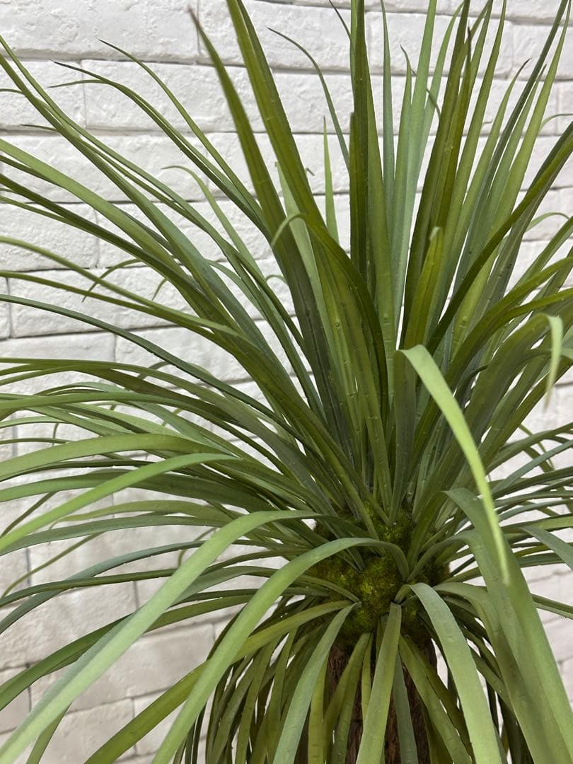 鑑別付 【東京23区配送無料】定価9万円 エミリオロバ ユッカ 造花 観葉