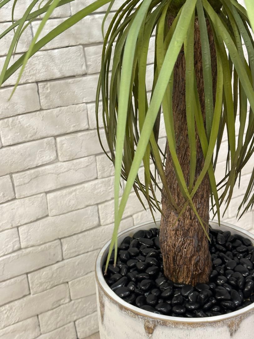 鑑別付 【東京23区配送無料】定価9万円 エミリオロバ ユッカ 造花 観葉