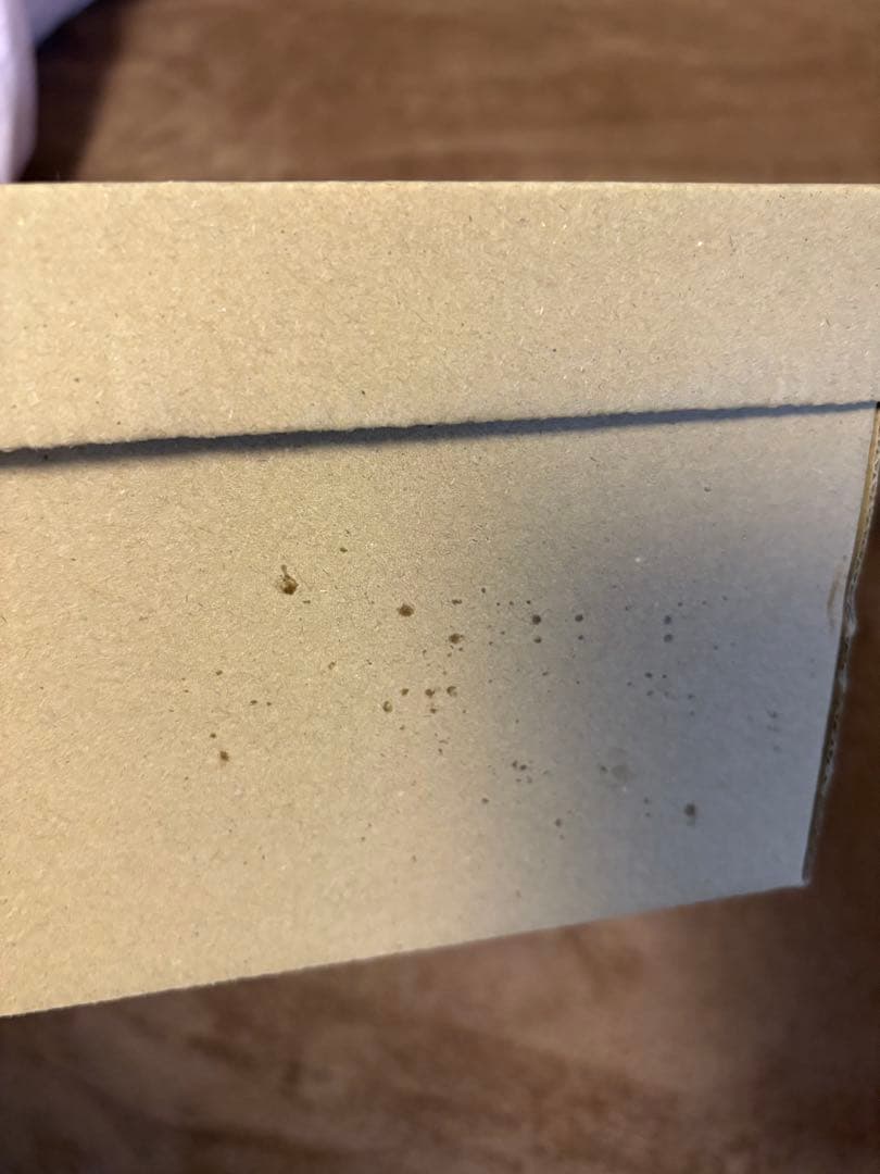 ラクバキ サボサンダル -5kg 骨格矯正靴 rakubaki