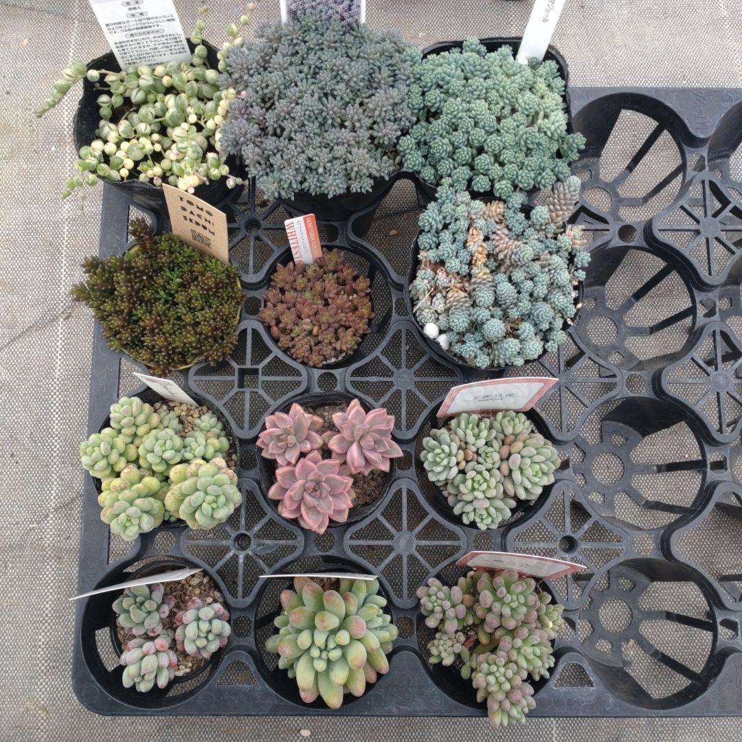 le cielさん専用 Amazon.co.jp: CIEL(シエル) ソロメイト フルフェイス Bluetoothヘッド