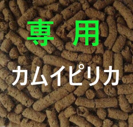 姫ちゃん カムイピリカ6kg リカちゃん LD-30 Kimonoリカちゃん 紅｜ドール｜限定品や新作も